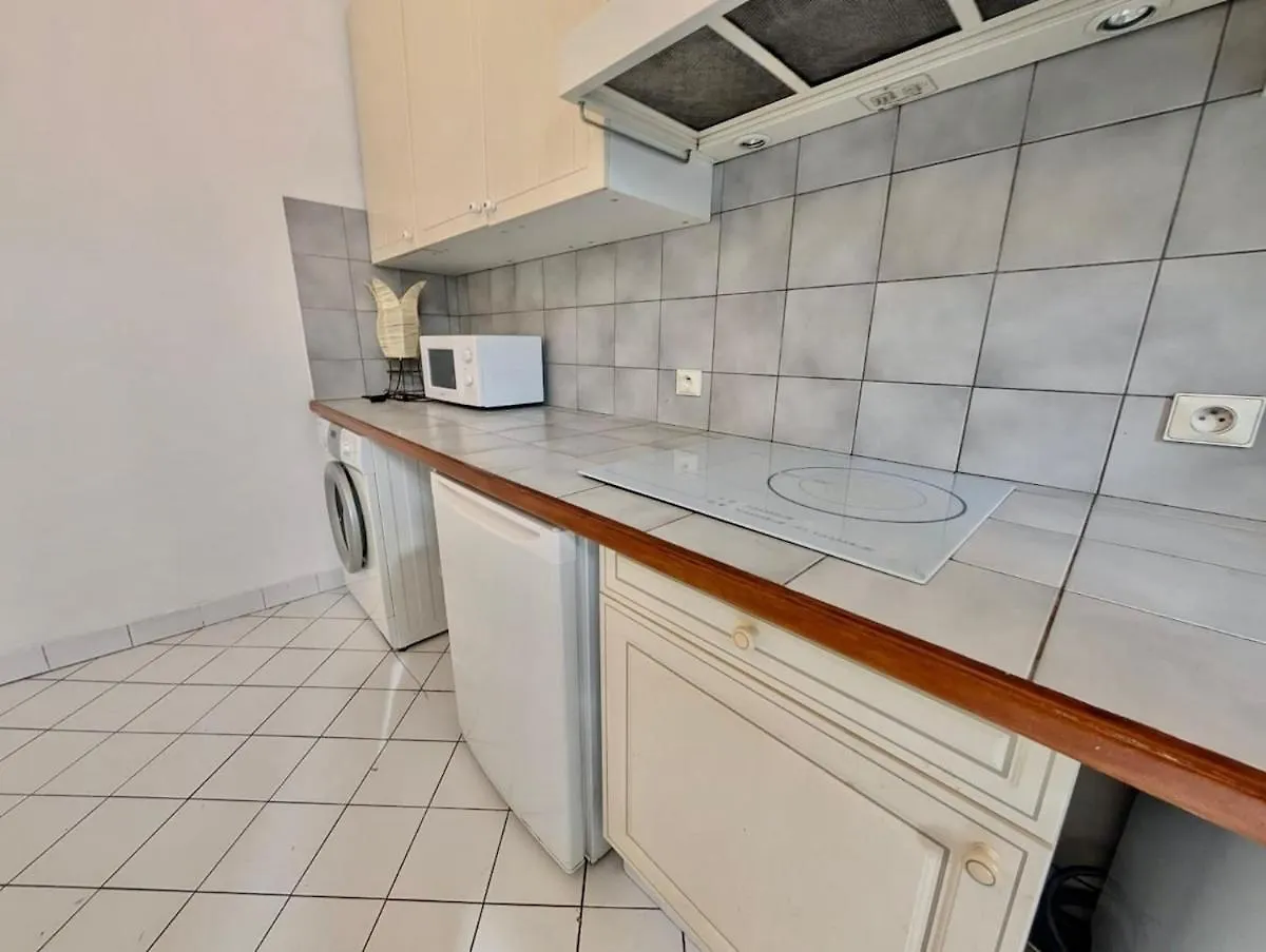 Large 2-Bedroom Apartment Large Living Room With Parking Near Train Station And Downtown Grenoble